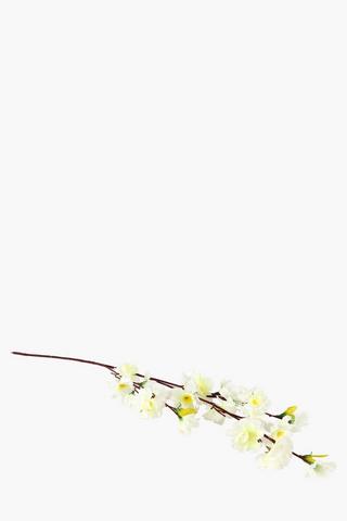 Peach Blossom Single Stem