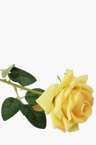 Elegant Rose Single Stem