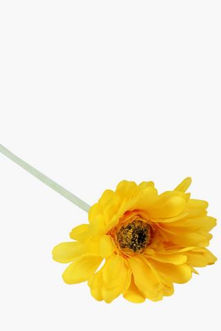 Gerbera Single Stem