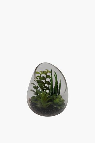 Succulent In Slant Glass Bowl Large