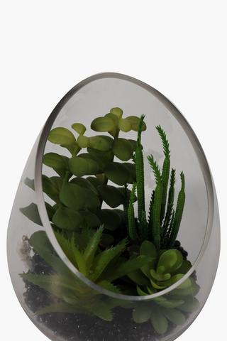 Succulent In Slant Glass Bowl Large