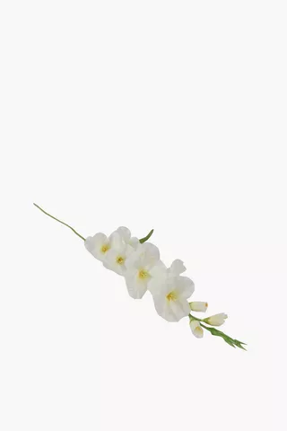 Wild Orchid Single Stem