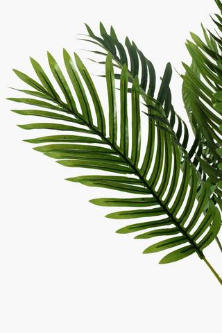 Palm Tree, Medium