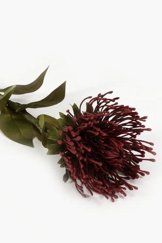 Pincushion Protea Single Stem