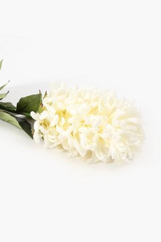 Hyacinth Single Stem