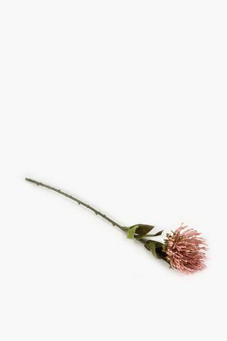 Pincushion Protea Single Stem