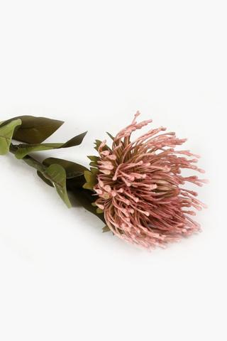 Pincushion Protea Single Stem