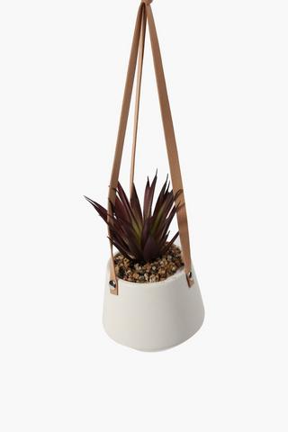 Potted Hanging Succulent