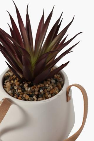 Potted Hanging Succulent