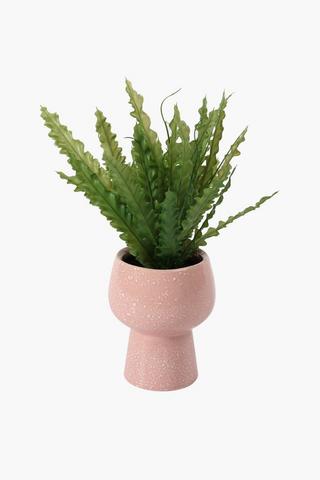 Ceramic Potted Boston Fern