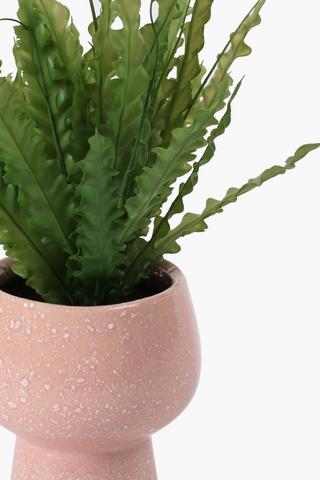 Ceramic Potted Boston Fern
