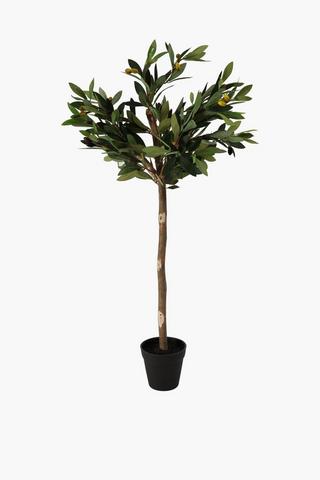 Artificial Olive Tree NZ  Available Online – Decor Flowers