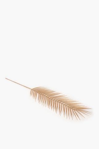 Single Palm Leaf