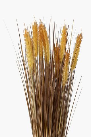 Wheat Grass Bunch