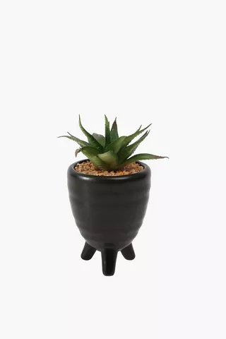 Tripod Potted Succulent, Small