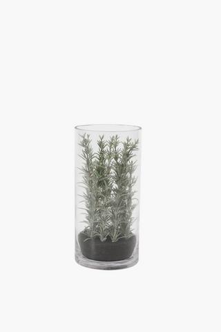 Glass Terrarium Tall