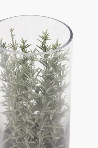 Glass Terrarium Tall
