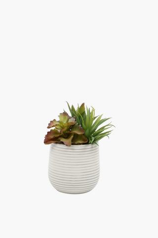 Ribbed Potted Aloe, 14x21cm
