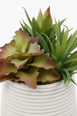 Ribbed Potted Aloe, 14x21cm