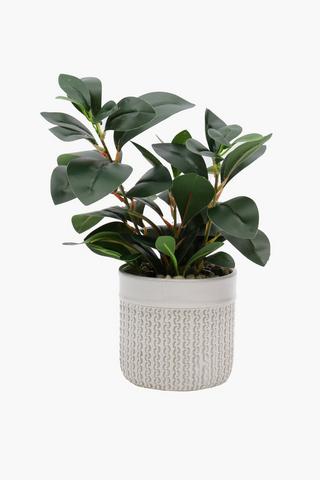 Ceramic Potted Leafy Links, 13x37cm
