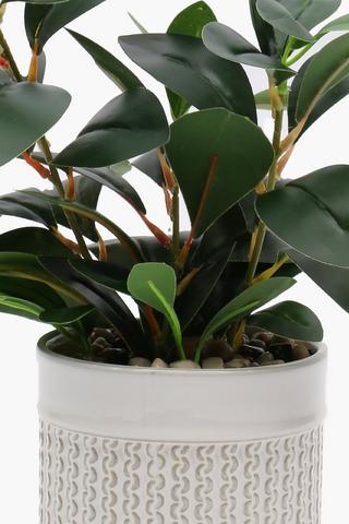 Ceramic Potted Leafy Links, 13x37cm