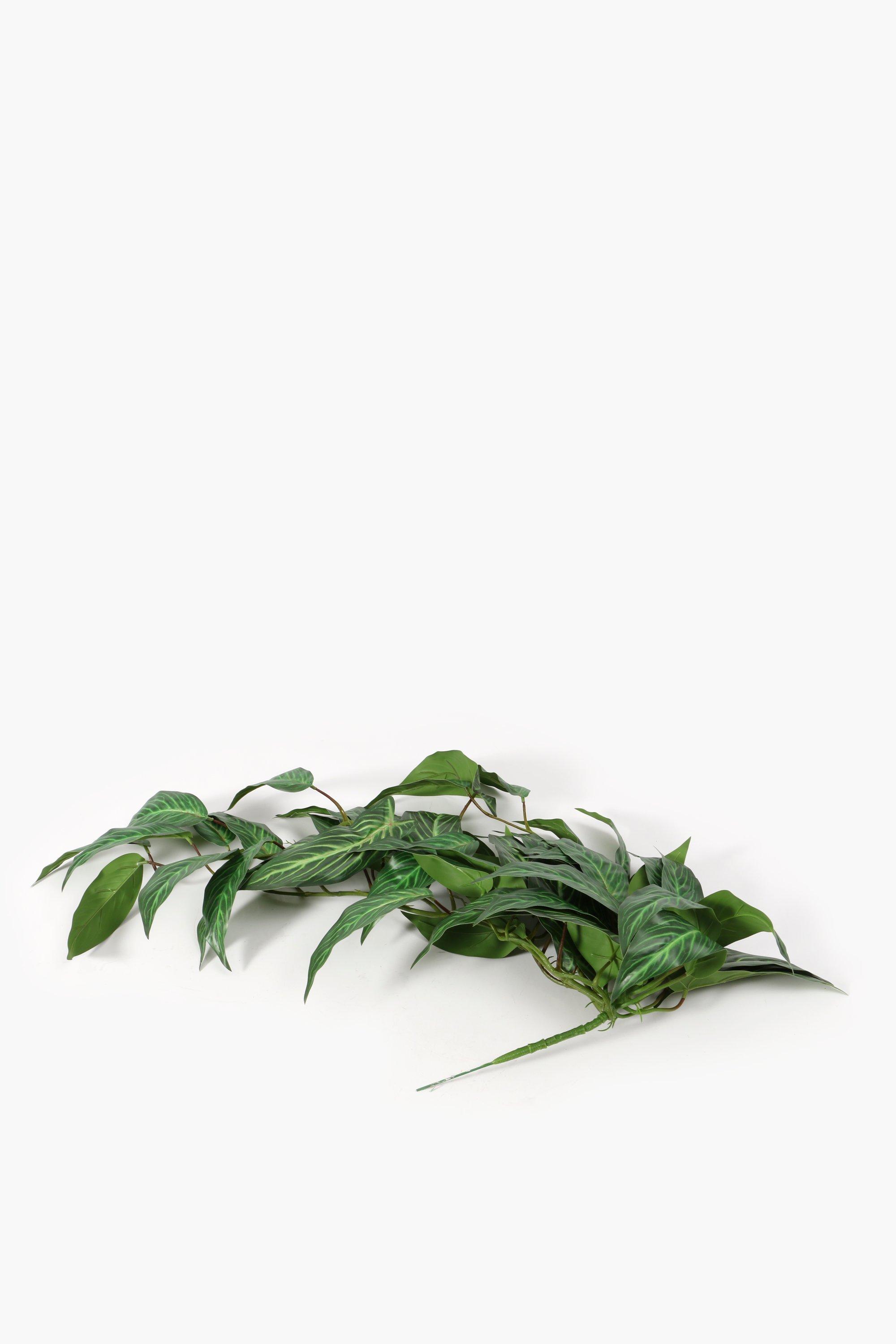 Variegated Leaf Filler