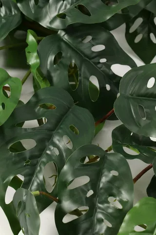 Monsteria Leaf Filler, 90cm