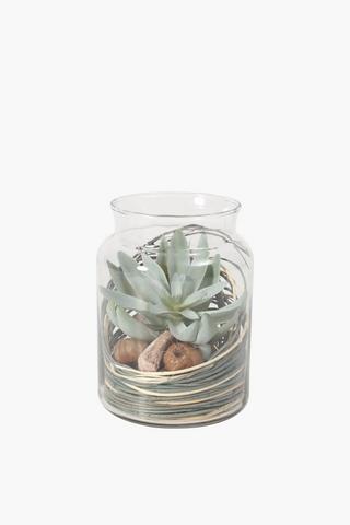 Succulent In Glass Jar