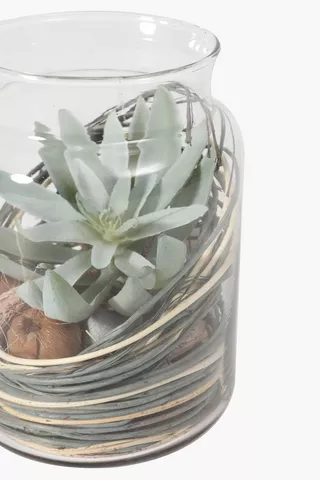 Succulent In Glass Jar