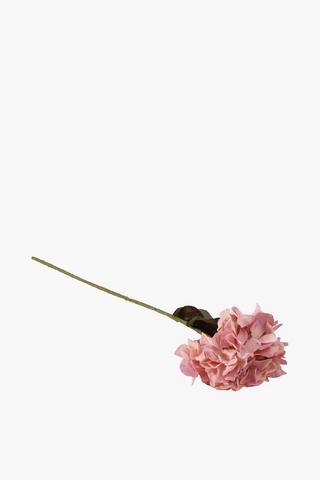 Hydrangea Single Stem