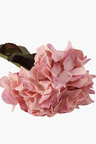 Hydrangea Single Stem