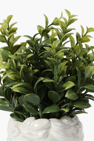 Greenery In Ceramic Agatha Pot