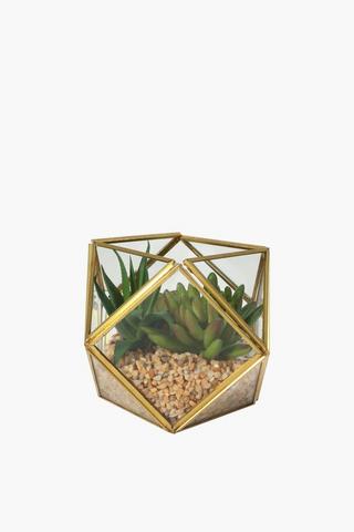 Glass Terrarium Succulent