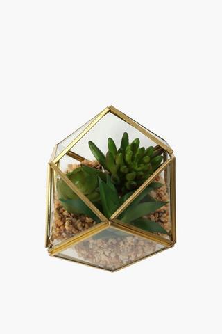 Glass Terrarium Succulent