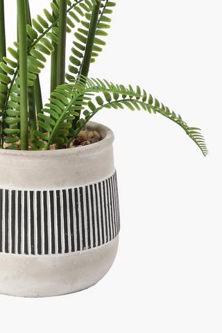 Cement Potted Palm Tree