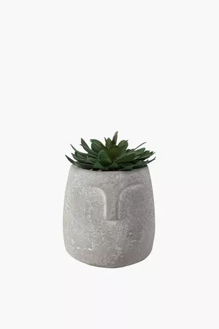 Stone Potted Succulent