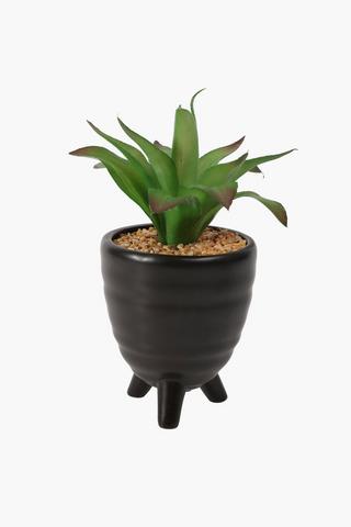 Tripod Potted Succulent, Medium