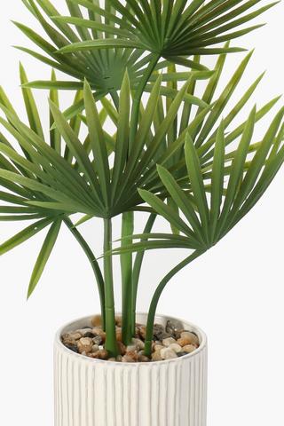 Ceramic Spotted Sun Spear