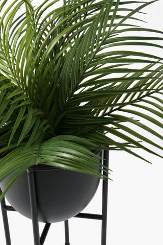 Urban Standing Potted Fern