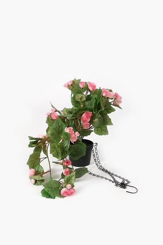 Hanging Wild Rose Bouquet