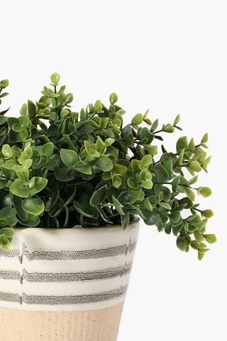Reactive Potted Green Leaf Plant