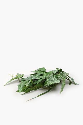Begonia Leaf Filler