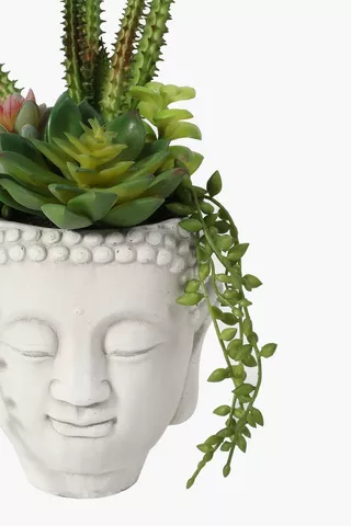 Zen Potted Multi Succulent