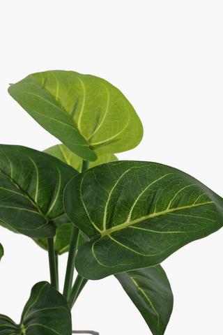 Glass Cube Pot Plant
