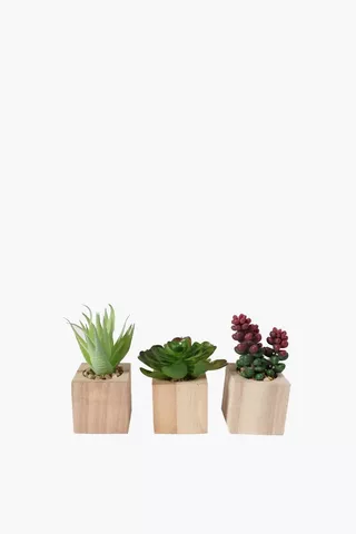 Assorted Wood Mini Succulent