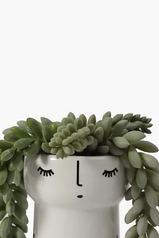 Succulent In Polka Dot Pot