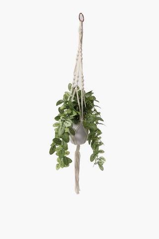 Hanging Macrame Plant