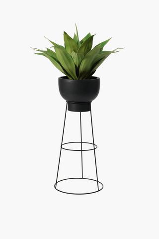 Aloe In Standing Ceramic Pot