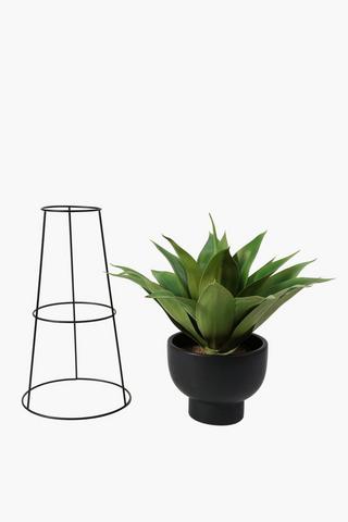 Aloe In Standing Ceramic Pot