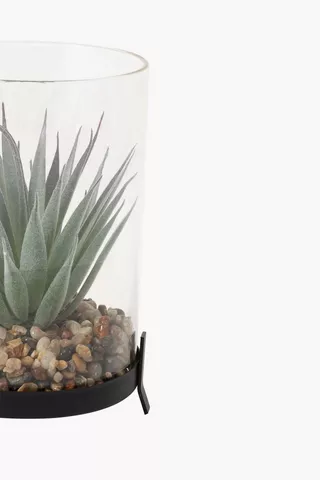 Succulent In Glass And Metal Pot